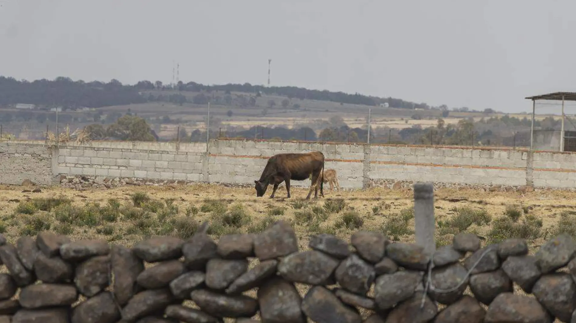 SJR Autoridades